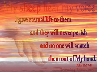 John 10:28 No One Will Snatch Them Out Of My Hand (red)
